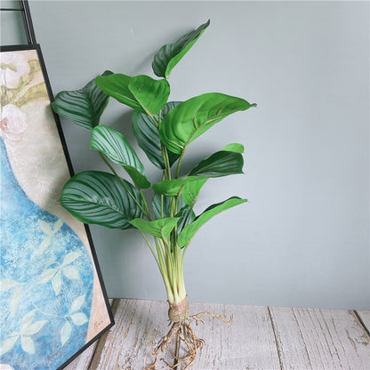 Luxury Patterned Green ficus bouquet with roots flores