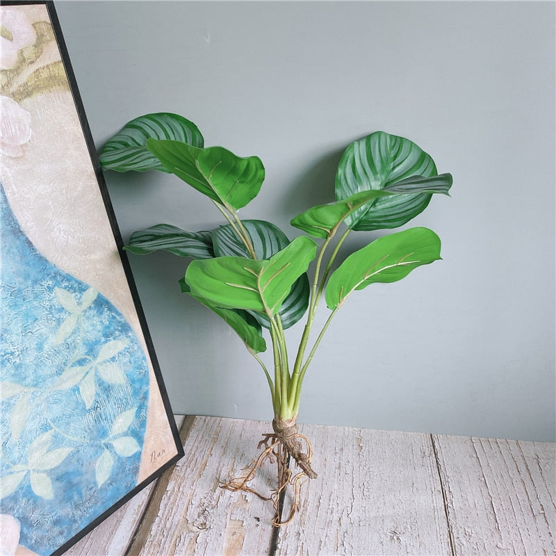 Luxury Patterned Green ficus bouquet with roots flores