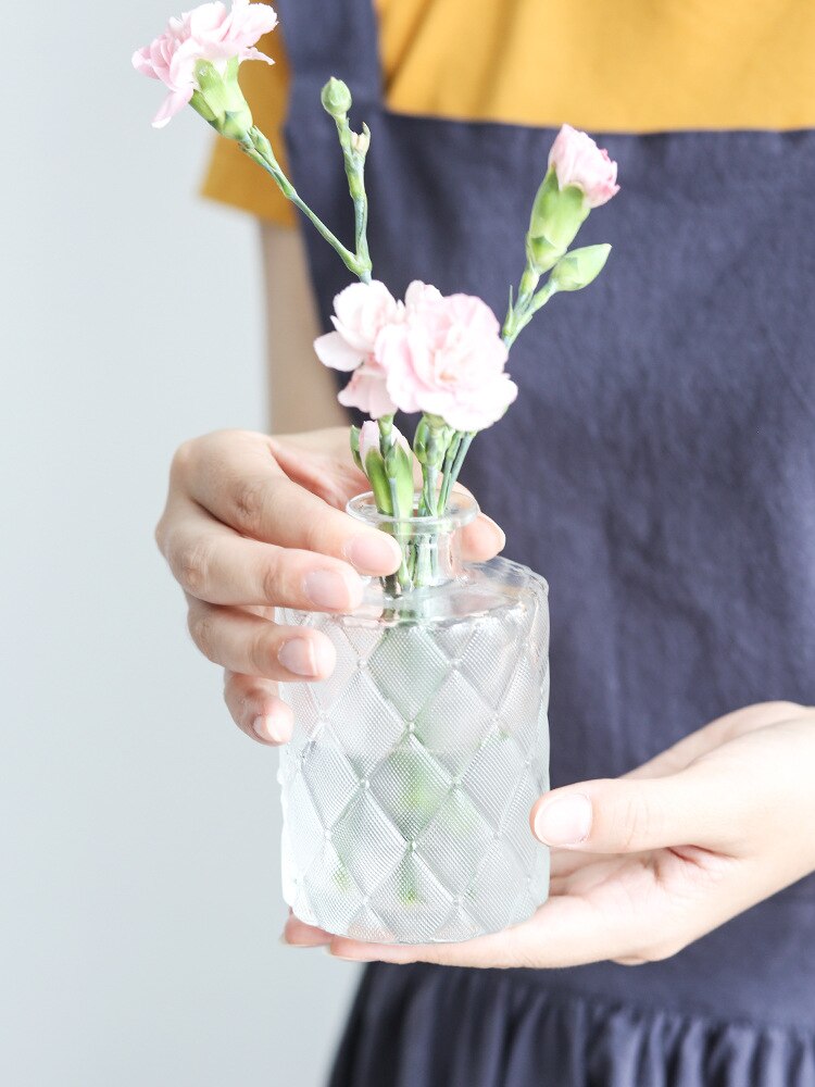 Simple Transparent Glass Small Nordic Aromatherapy Bottle Vase (Multi Styles)