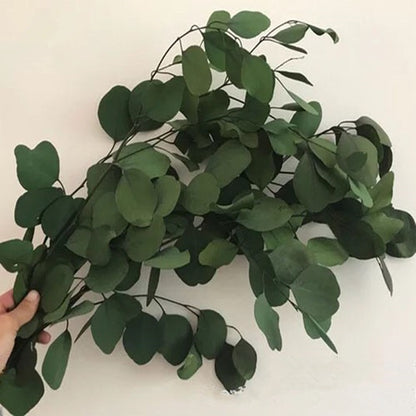 80g/lot,Natural Preserved Eucalyptus Leaves Bouquet