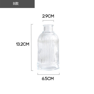 Simple Transparent Glass Small Nordic Aromatherapy Bottle Vase (Multi Styles)