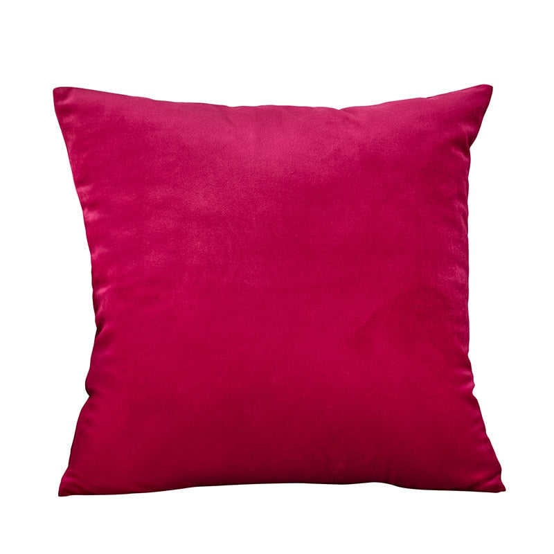 Super Soft Velvet Pillowcase (Multi Colors)