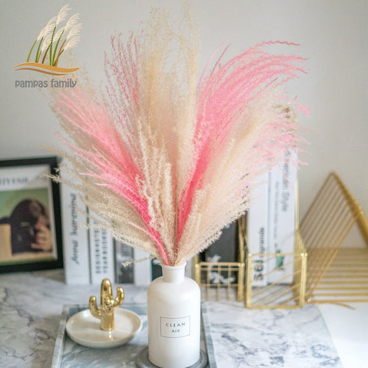 pampas grass decor white pink color natural plants dried flowers bouquet fluffy home decor free shipping