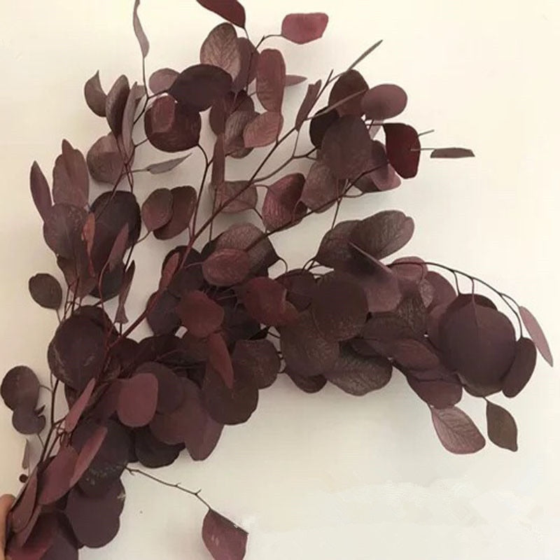 80g/lot,Natural Preserved Eucalyptus Leaves Bouquet