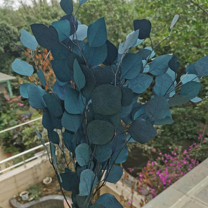 80g/lot,Natural Preserved Eucalyptus Leaves Bouquet