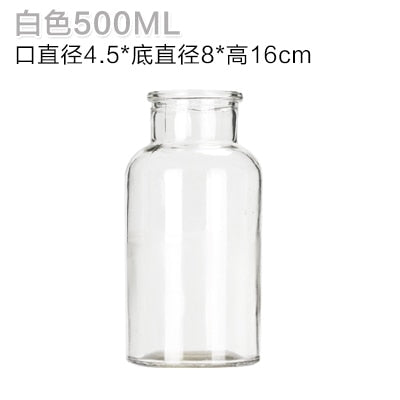 Small Hydroponic Plant Glass Bottle Vase (2 Colors)