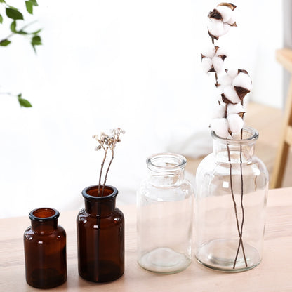 Small Hydroponic Plant Glass Bottle Vase (2 Colors)