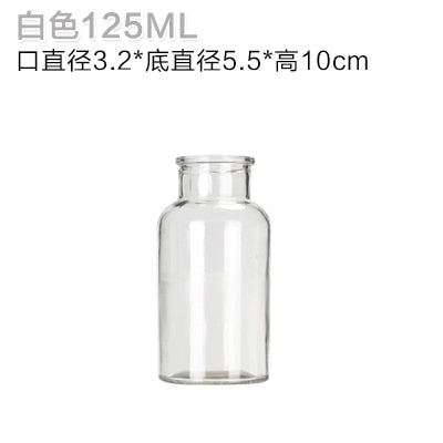 Small Hydroponic Plant Glass Bottle Vase (2 Colors)