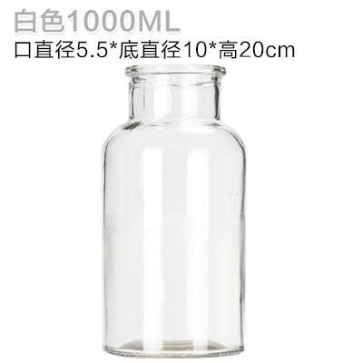 Small Hydroponic Plant Glass Bottle Vase (2 Colors)