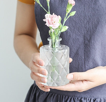 Simple Transparent Glass Small Nordic Aromatherapy Bottle Vase (Multi Styles)