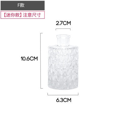 Simple Transparent Glass Small Nordic Aromatherapy Bottle Vase (Multi Styles)