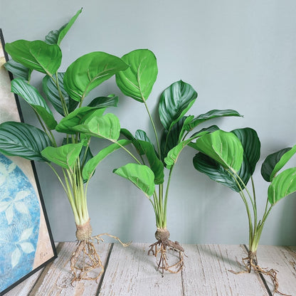 Luxury Patterned Green ficus bouquet with roots flores