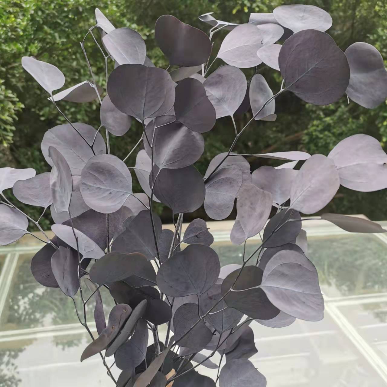 80g/lot,Natural Preserved Eucalyptus Leaves Bouquet