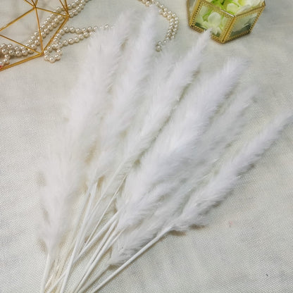 15pcs Natural Dried Pampas Grass Reed Phragmites Dry Flower Plant