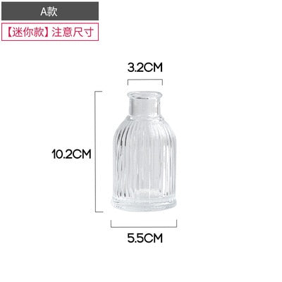 Simple Transparent Glass Small Nordic Aromatherapy Bottle Vase (Multi Styles)