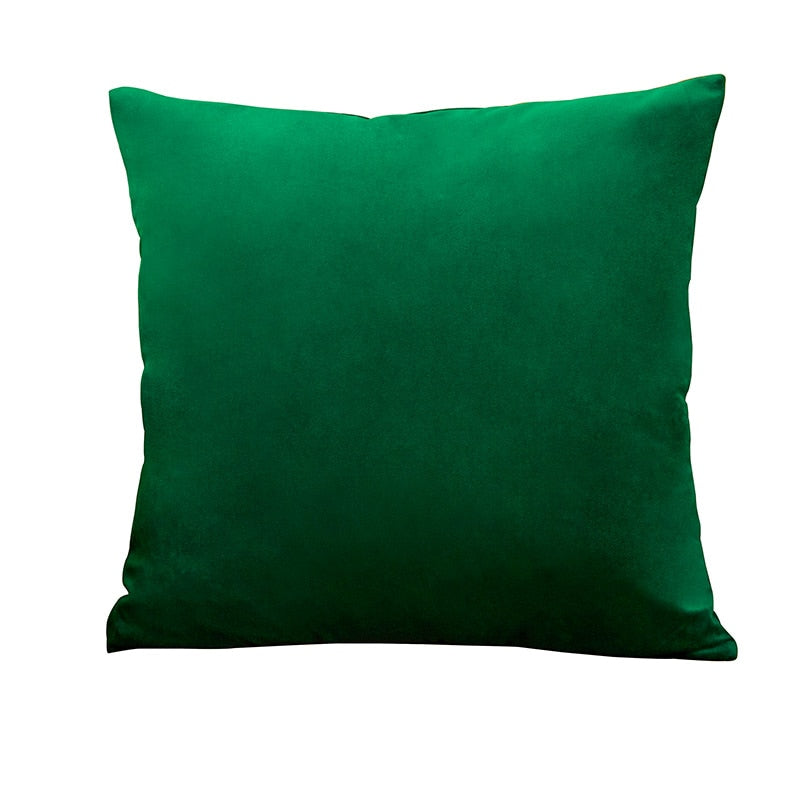 Super Soft Velvet Pillowcase (Multi Colors)