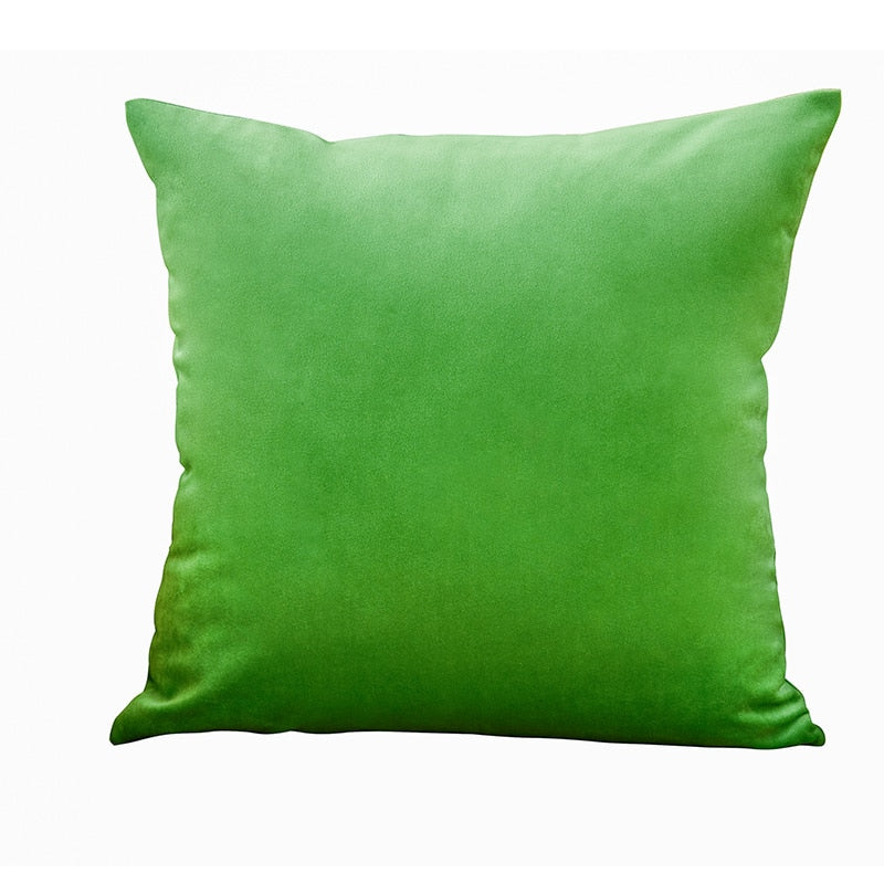 Super Soft Velvet Pillowcase (Multi Colors)