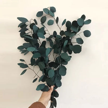 80g/lot,Natural Preserved Eucalyptus Leaves Bouquet