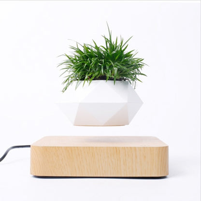 Levitating Air Bonsai Pot Rotation Flower Pot Planters Magnetic