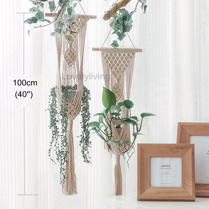 Big Macrame Hanging Planter Hanging Pot Plant (Multi Styles/ Colors)