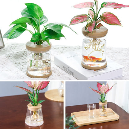 Mini Hydroponic Flower Pot Home Vase Decor