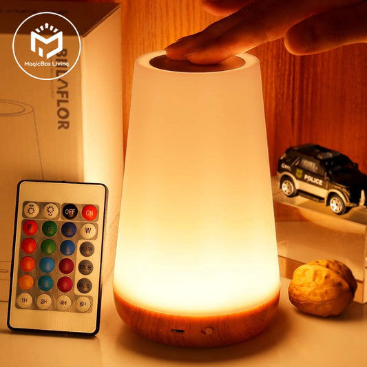 13 Color Changing  Light RGB Remote Control Touch Dimmable Lamp USB Rechargeable