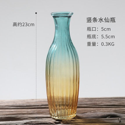 European Hipster Embossed Transparent Glass Vase (Multi Styles)