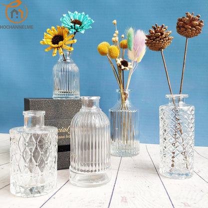 Simple Transparent Glass Small Nordic Aromatherapy Bottle Vase (Multi Styles)