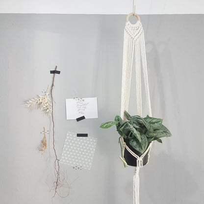 Big Macrame Hanging Planter Hanging Pot Plant (Multi Styles/ Colors)