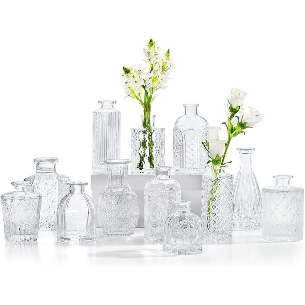 Simple Transparent Glass Small Nordic Aromatherapy Bottle Vase (Multi Styles)