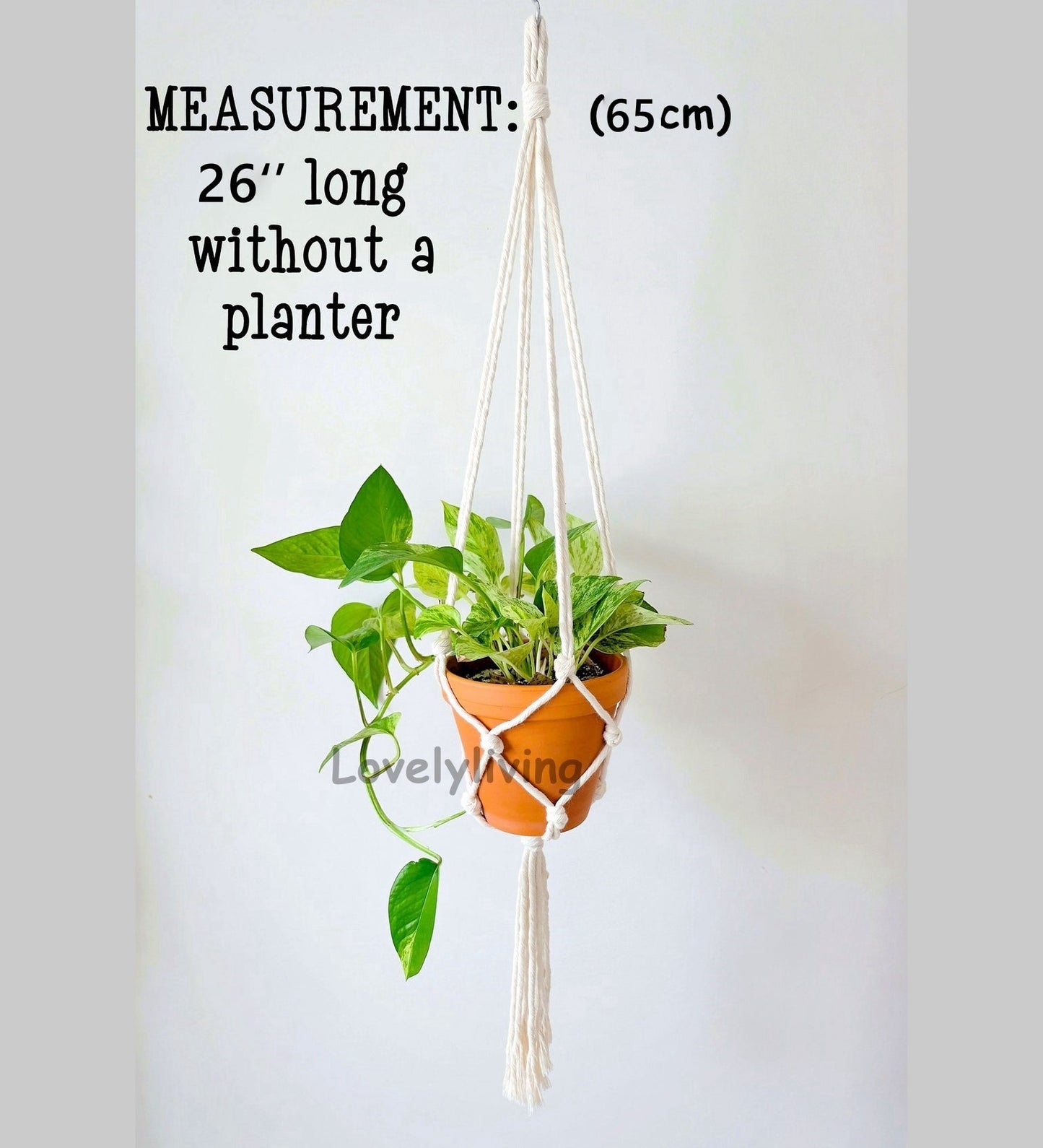 Big Macrame Hanging Planter Hanging Pot Plant (Multi Styles/ Colors)