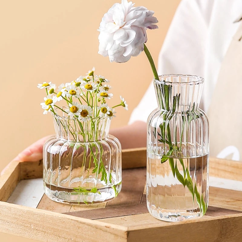 Transparent Glass Vases Nordic Creative Hydroponic Terrarium Flower Table Vase (Multi Styles)