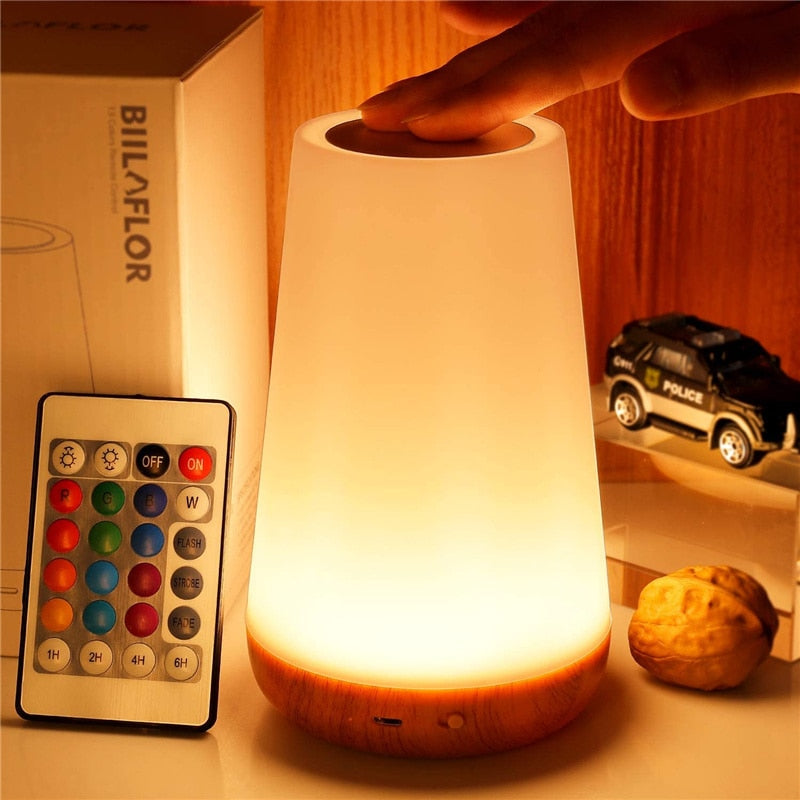 13 Color Changing  Light RGB Remote Control Touch Dimmable Lamp USB Rechargeable